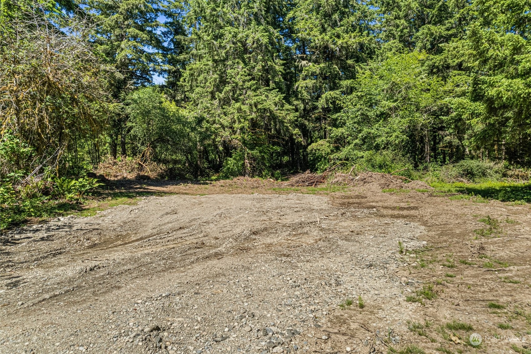4035 Sleater Kinney Road Northeast Olympia, WA 98506 - Photo 4 of 14 a view of empty room with trees