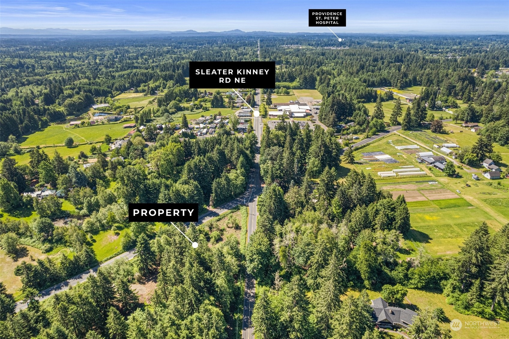 4035 Sleater Kinney Road Northeast Olympia, WA 98506 - Photo 8 of 14 a view of a city