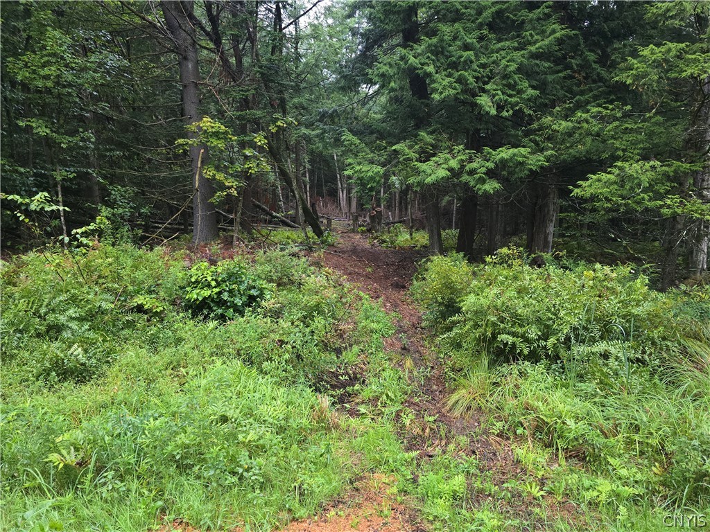 Burton Road Camden, NY 13316 - Photo 2 of 3 Gallery Image 2