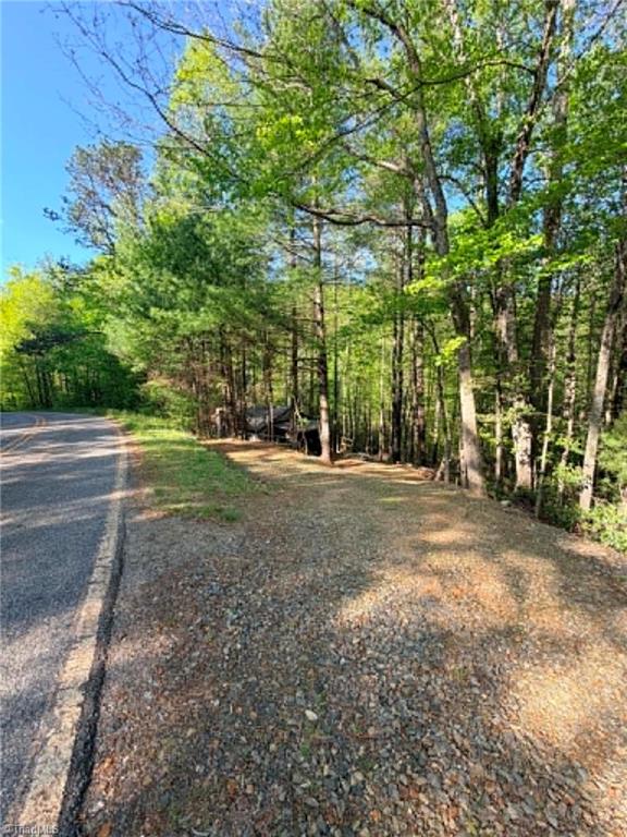 Tbd Shoe Road Millers Creek, NC 28651 - Photo 4 of 18