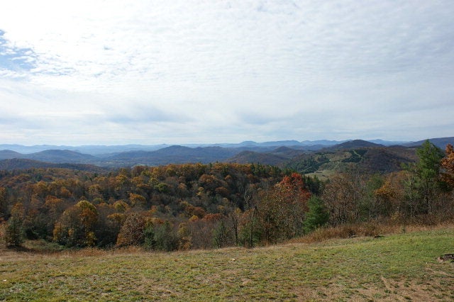 Gallery Image 1