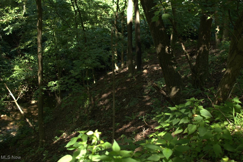 Rabbit Hill Road Wellsburg, WV 26070 - Photo 6 of 25 Gallery Image 6