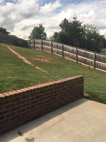 7500 Cotton Patch Road Corryton, TN 37721 - Photo 12 of 12 backyard