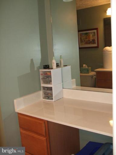 111 Cross Ridge Court Stafford, VA 22554 - Photo 13 of 23 a close view of sink