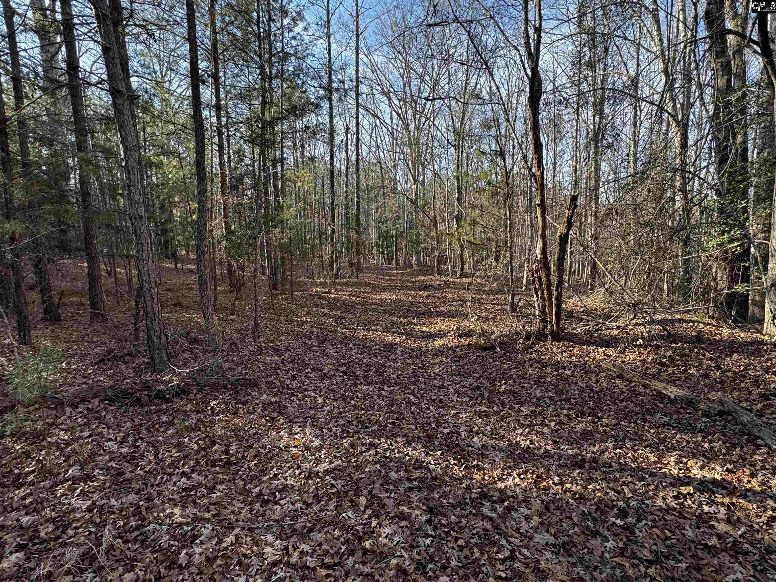 0 Mann Road Winnsboro, SC 29180 - Photo 9 of 22