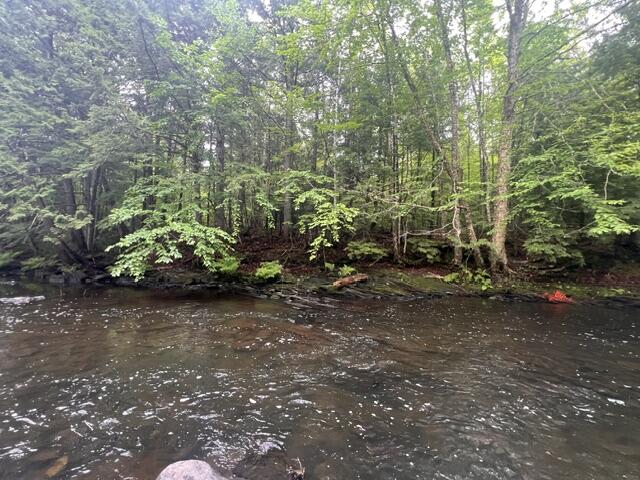 Lot 3 Off New Limerick Road Houlton, ME 04730 - Photo 21 of 30 IMG_1032