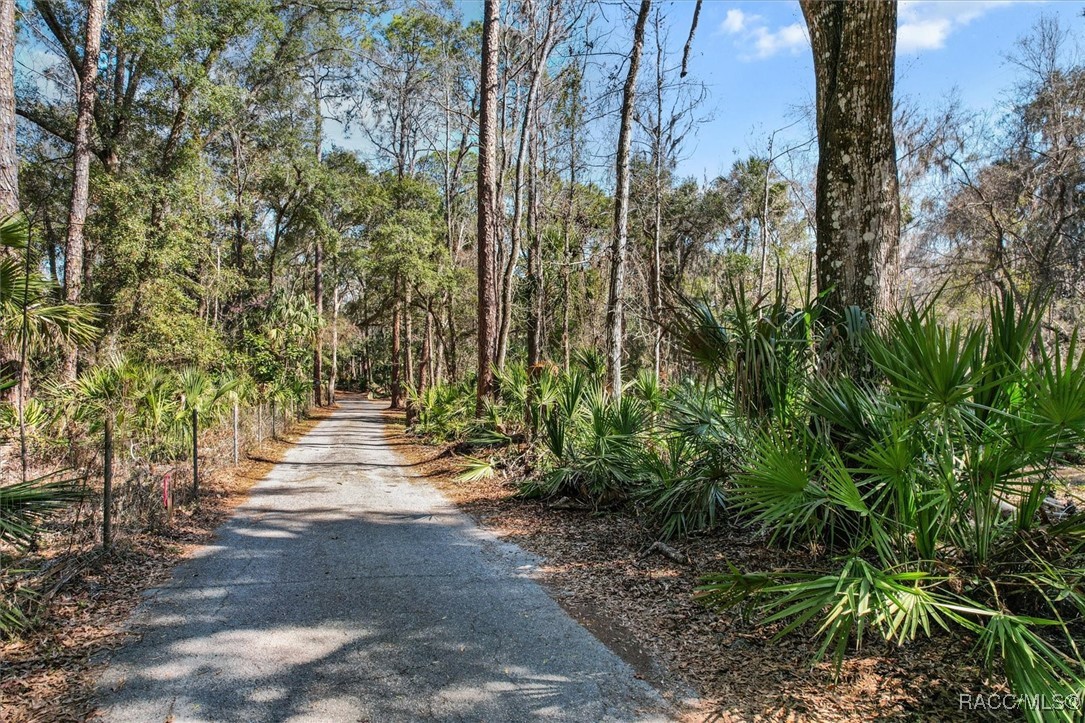 0 Our Road Inglis, FL 34449 - Photo 5 of 14