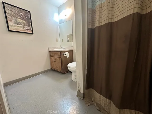 a view of a backyard with potted plants and large tree