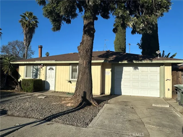 a view of a house with a yard potted plants and a large tree
