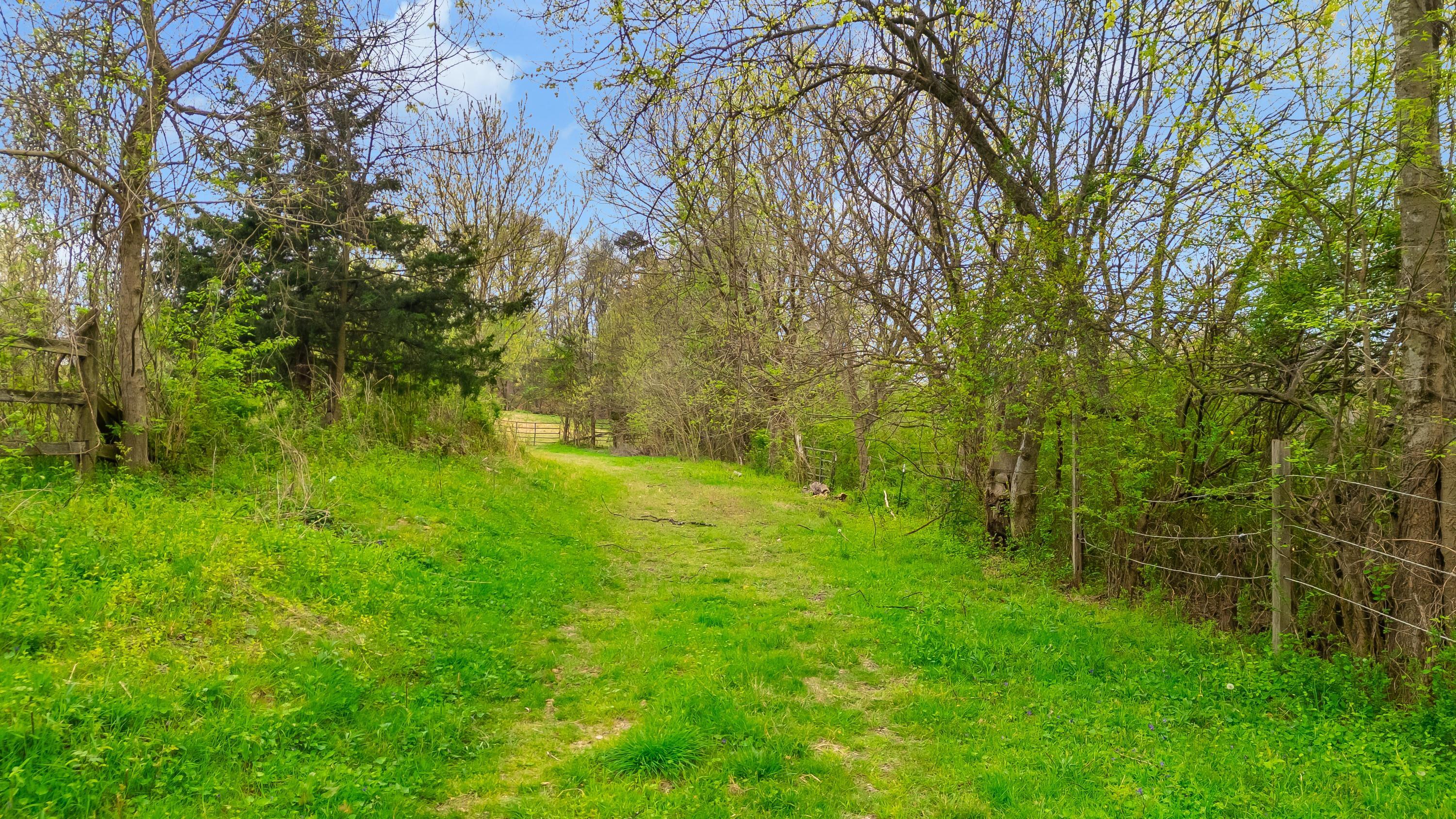 1065 Baggett Road Ringgold, GA 30736 - Photo 13 of 56 2026_03_March_1065_Baggett_Rd_0013
