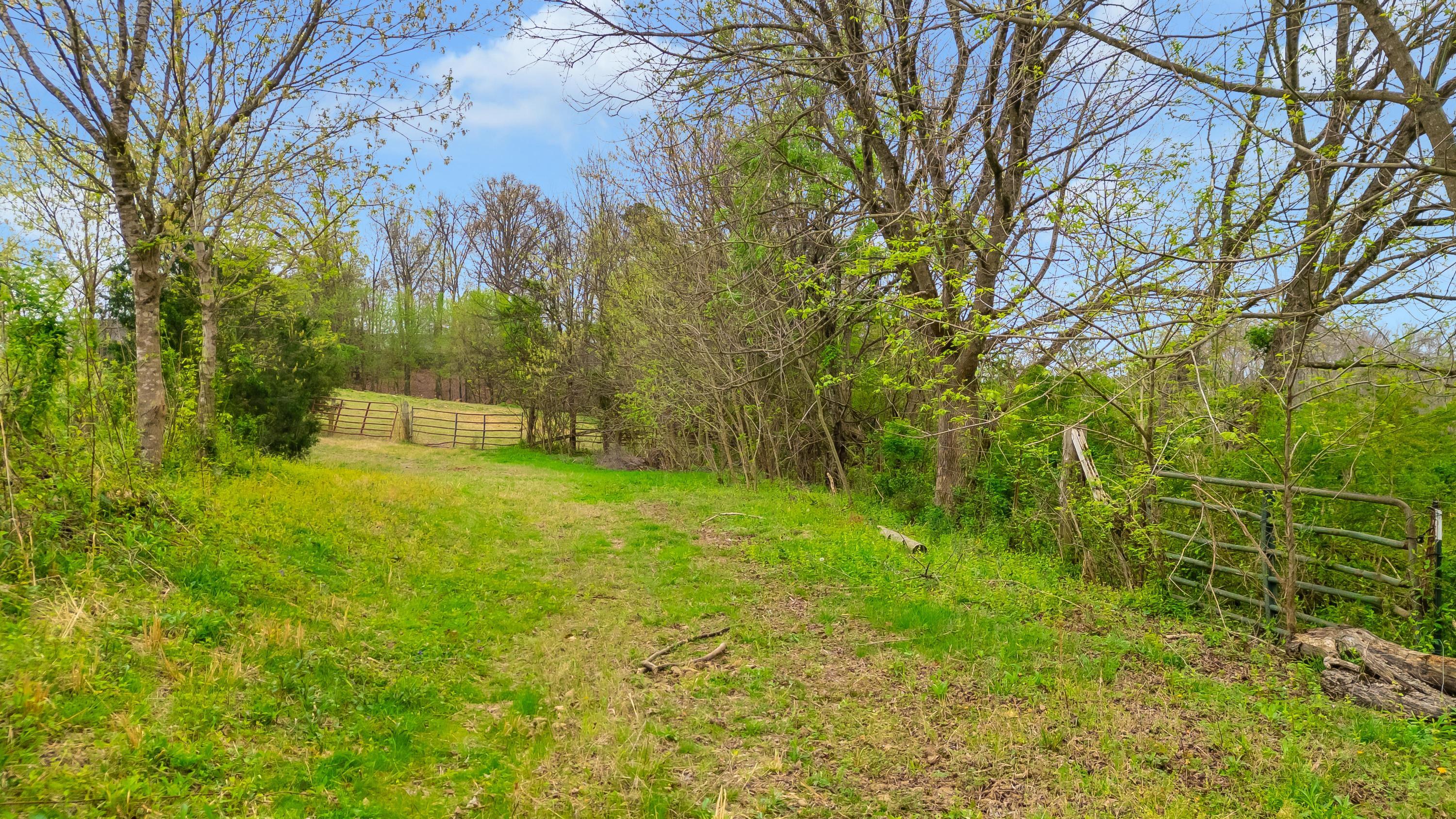 1065 Baggett Road Ringgold, GA 30736 - Photo 14 of 56 2026_03_March_1065_Baggett_Rd_0014