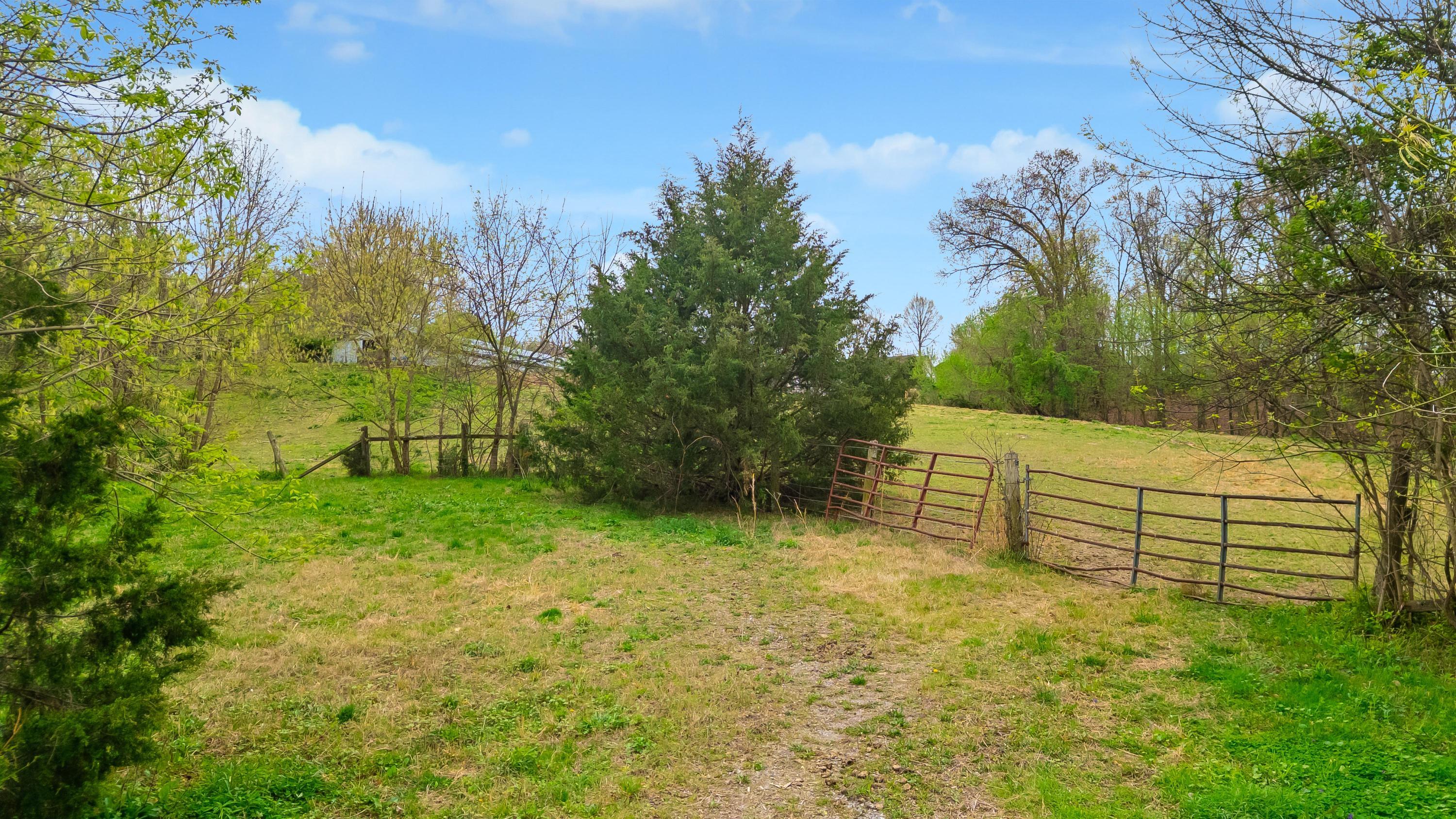 1065 Baggett Road Ringgold, GA 30736 - Photo 16 of 56 2026_03_March_1065_Baggett_Rd_0016