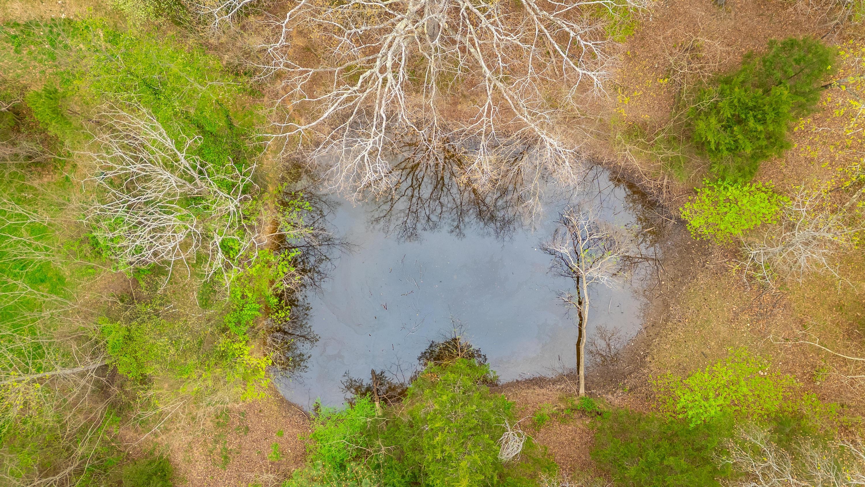 1065 Baggett Road Ringgold, GA 30736 - Photo 22 of 56 2026_03_March_1065_Baggett_Rd_0022