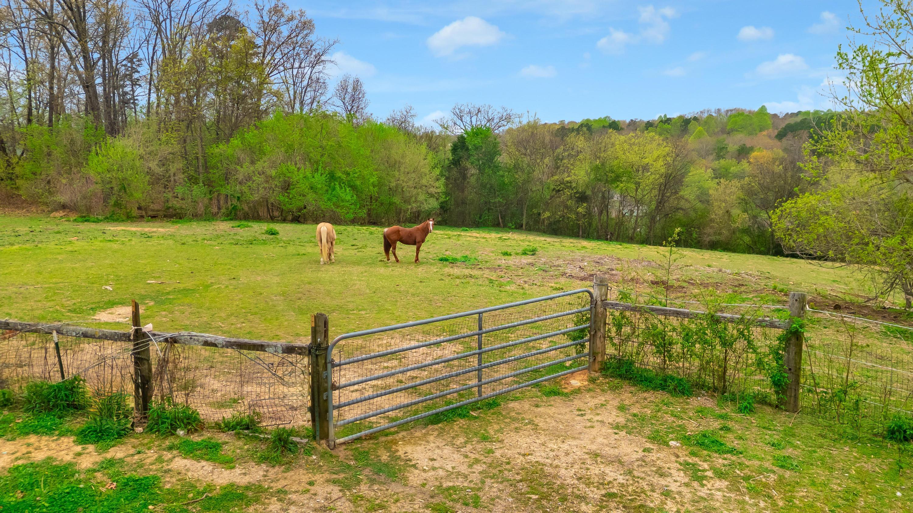 1065 Baggett Road Ringgold, GA 30736 - Photo 4 of 56 2026_03_March_1065_Baggett_Rd_0004