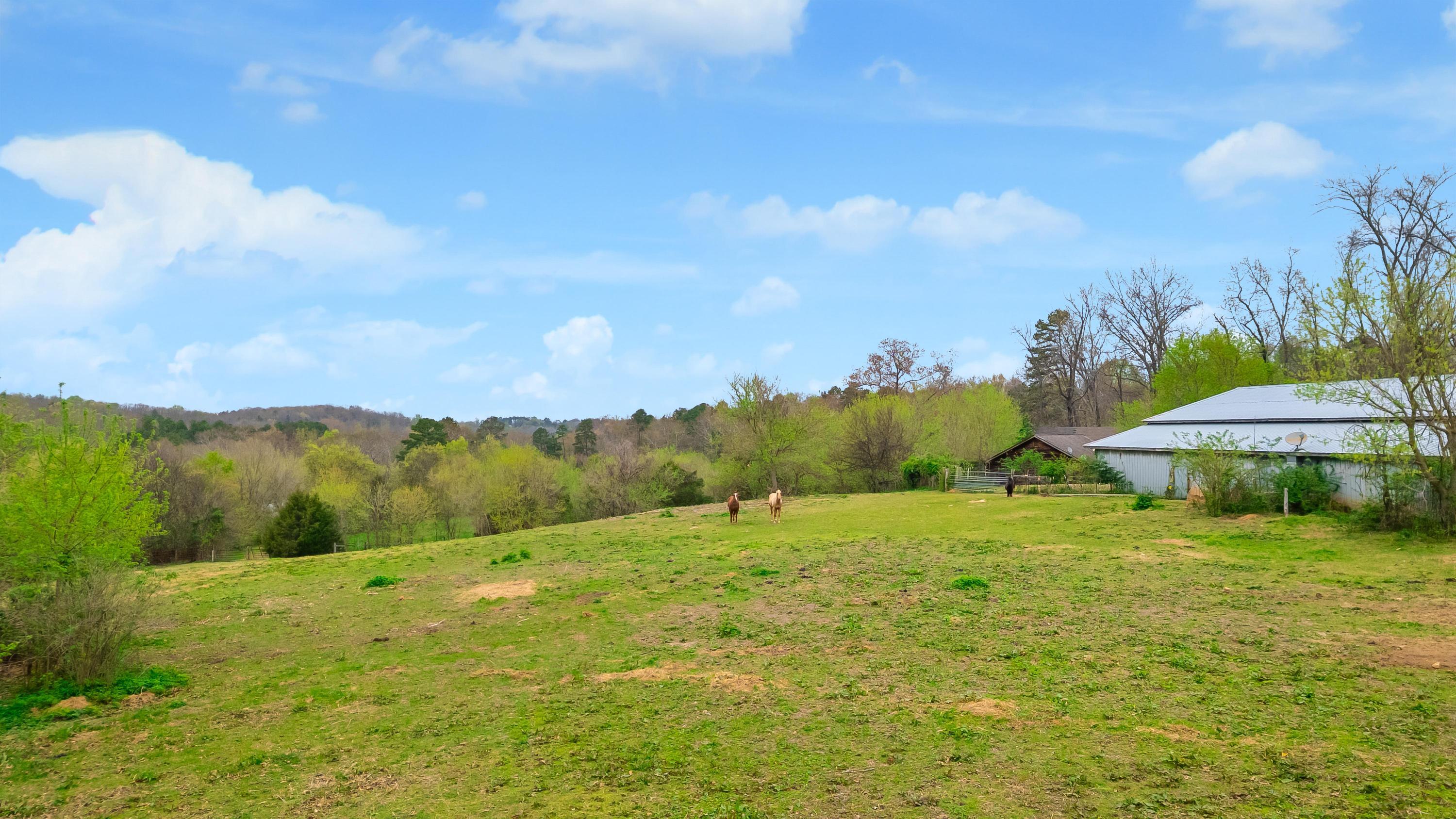 1065 Baggett Road Ringgold, GA 30736 - Photo 5 of 56 2026_03_March_1065_Baggett_Rd_0005