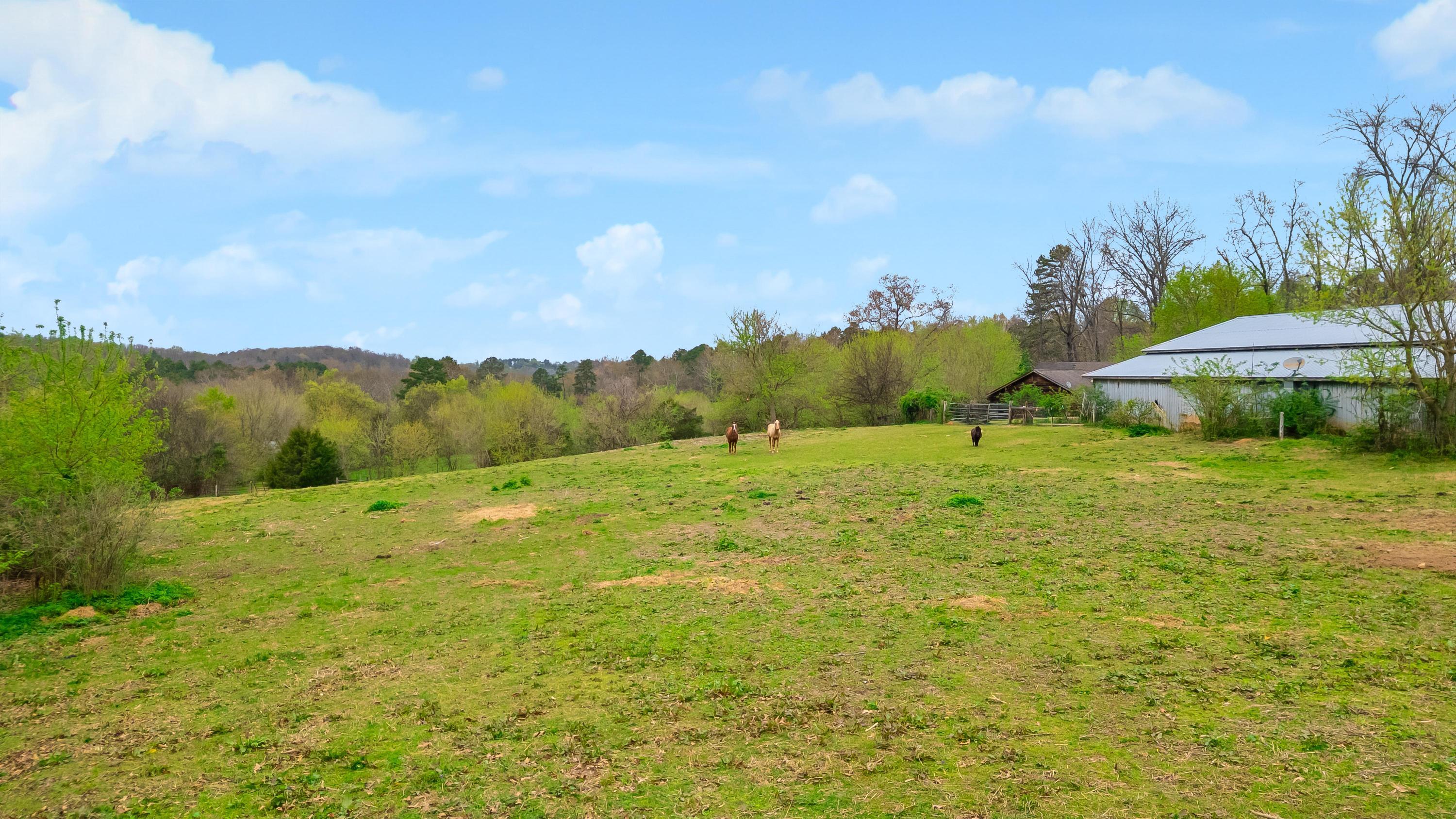 1065 Baggett Road Ringgold, GA 30736 - Photo 6 of 56 2026_03_March_1065_Baggett_Rd_0006