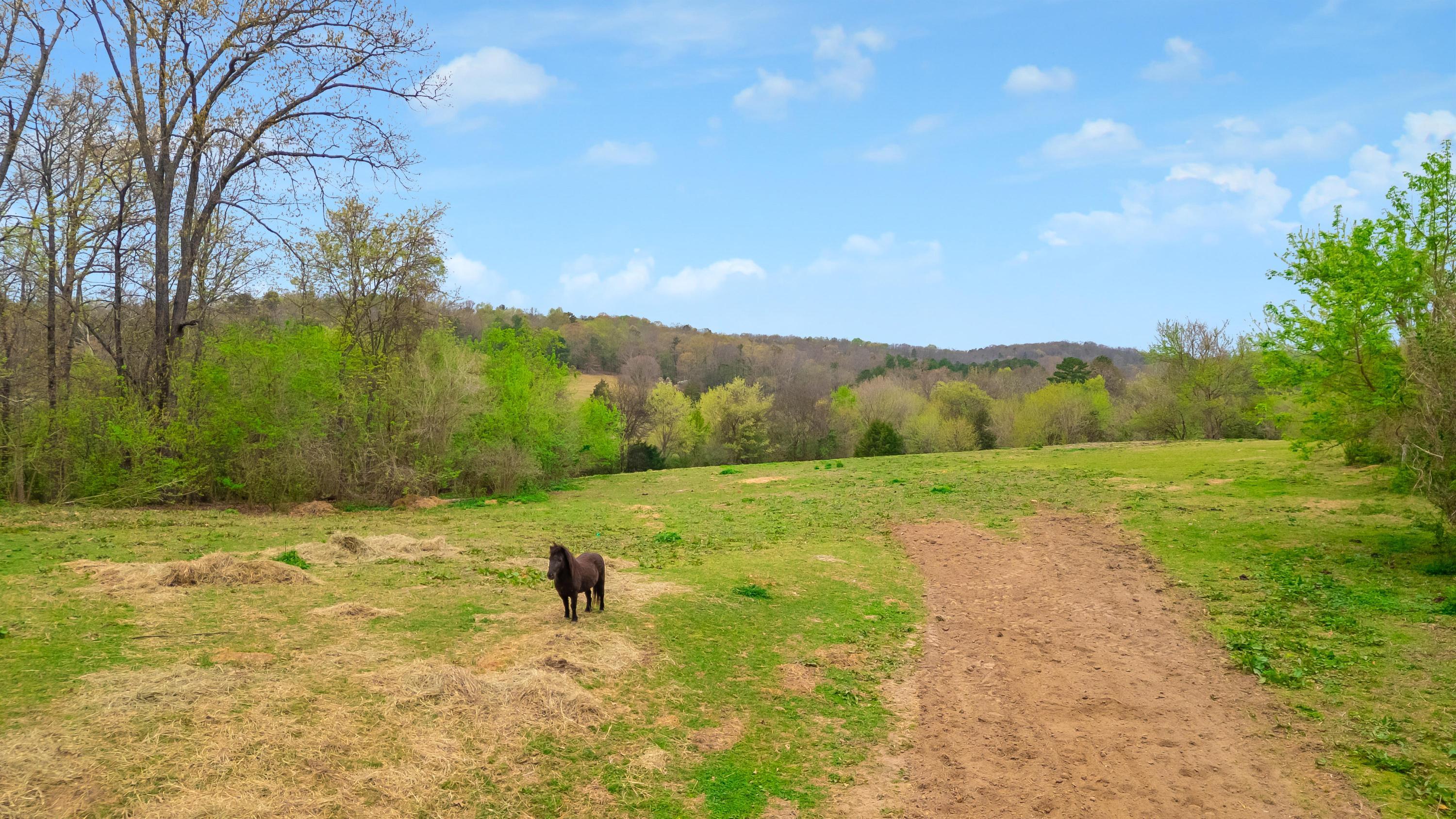 1065 Baggett Road Ringgold, GA 30736 - Photo 9 of 56 2026_03_March_1065_Baggett_Rd_0009