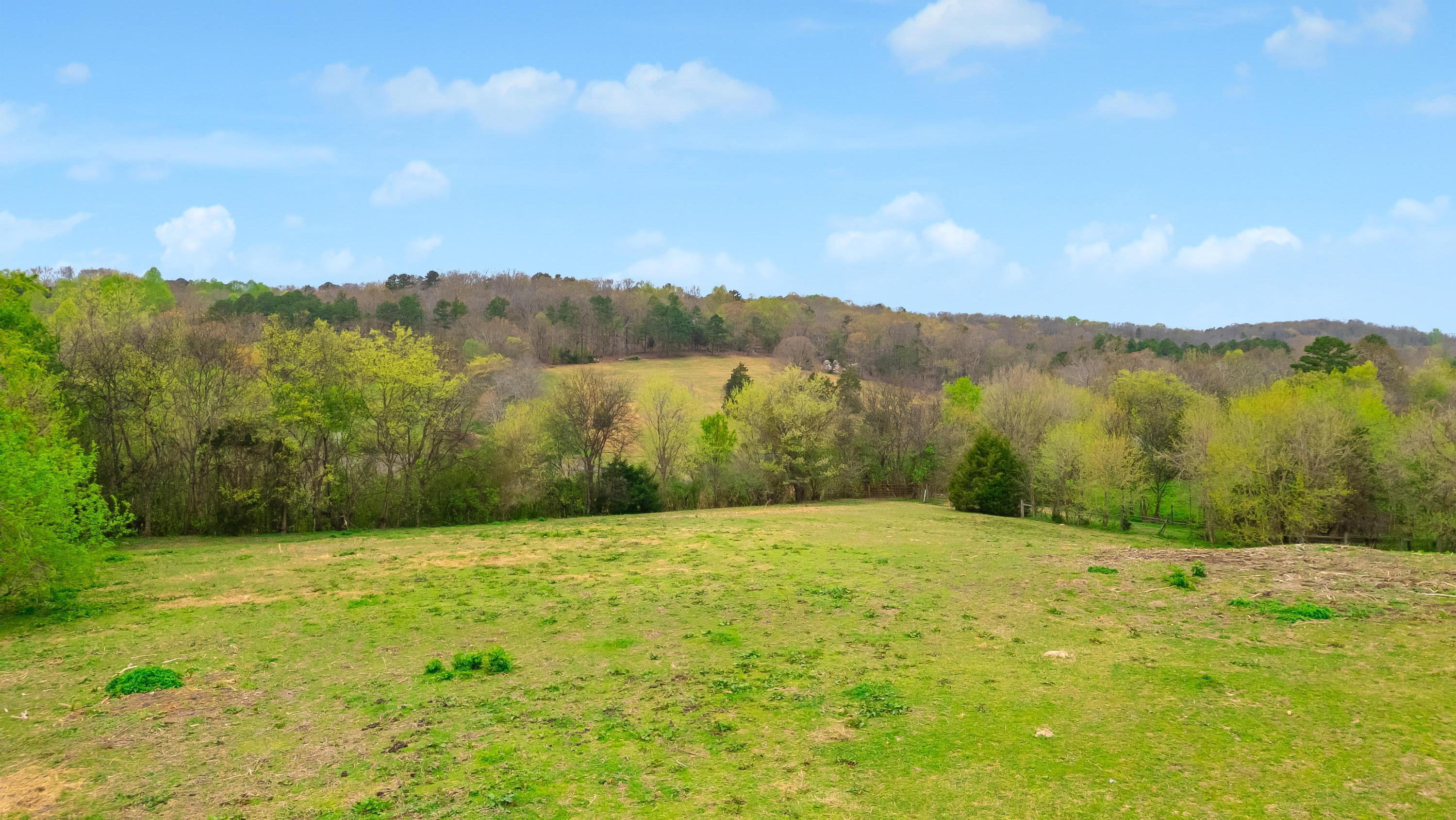 1065 Baggett Road Ringgold, GA 30736 - Photo 10 of 56 2026_03_March_1065_Baggett_Rd_0010