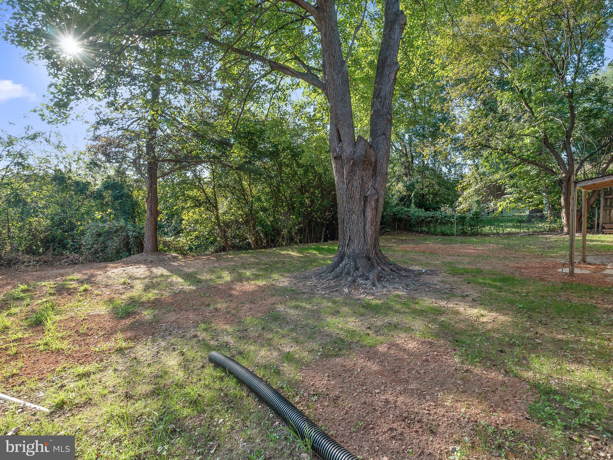 19044 Staleybridge Road Germantown, MD 20876 - Photo 29 of 30 a view of a yard with a tree