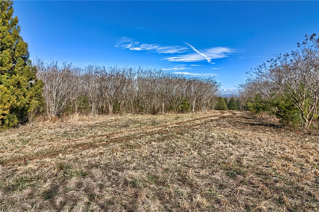 413 Hood Road Easley, SC 29640 - Photo 3 of 26 Gallery Image 3