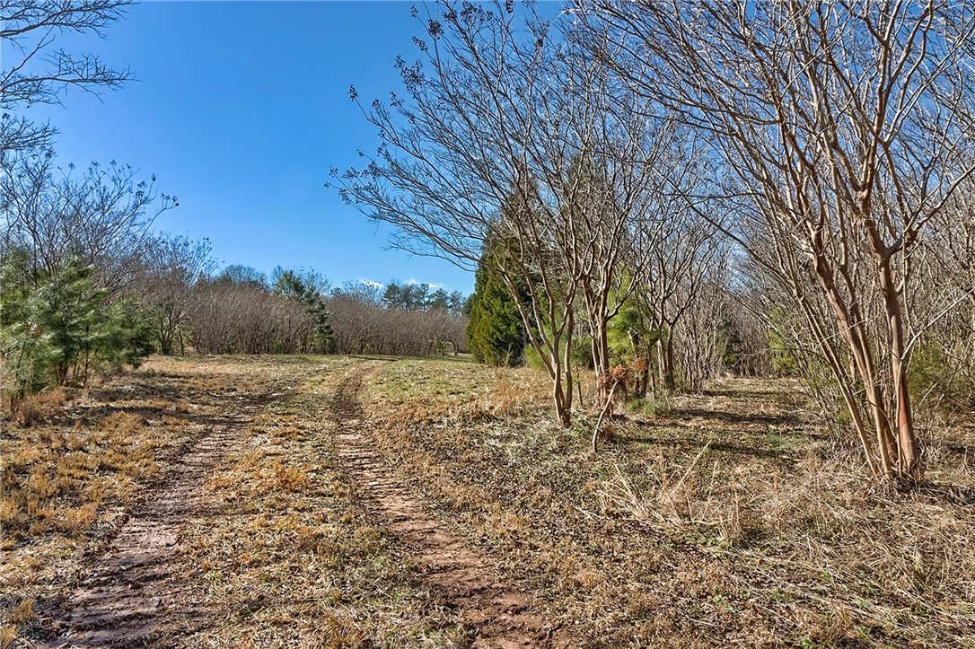 413 Hood Road Easley, SC 29640 - Photo 4 of 26 Gallery Image 4