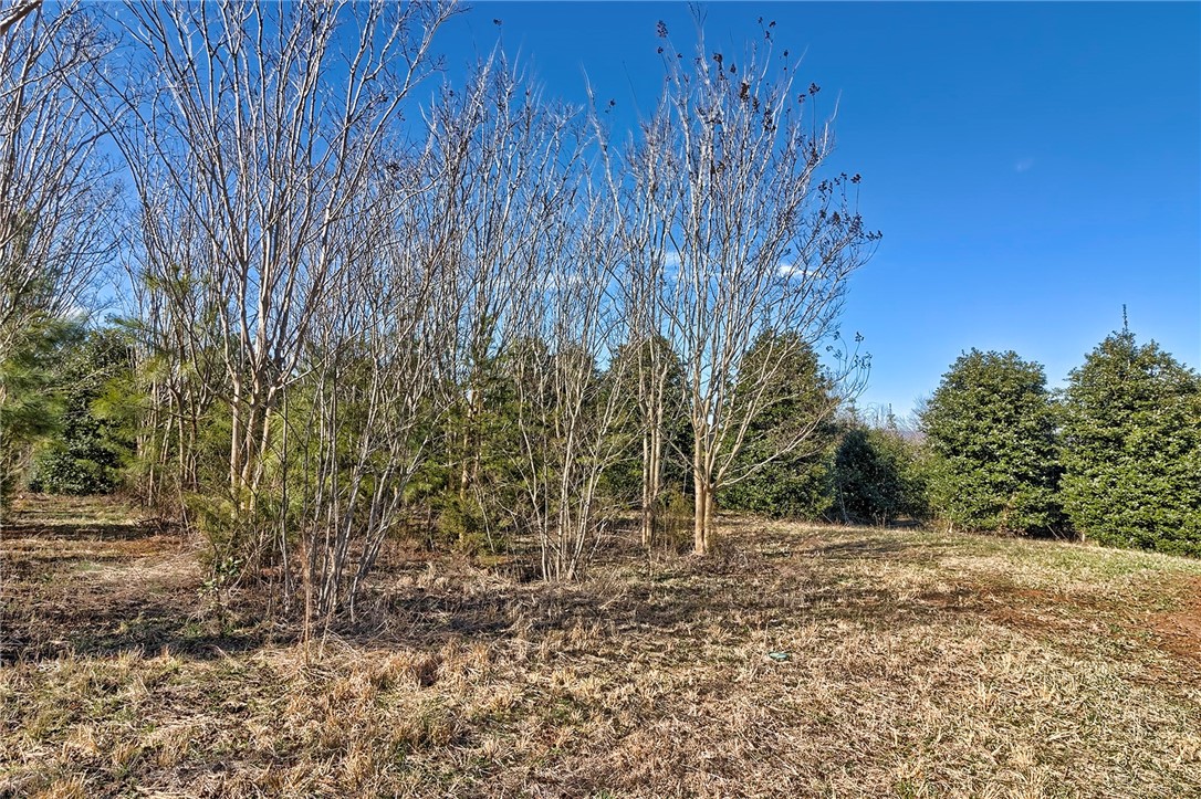 413 Hood Road Easley, SC 29640 - Photo 8 of 26 Gallery Image 8