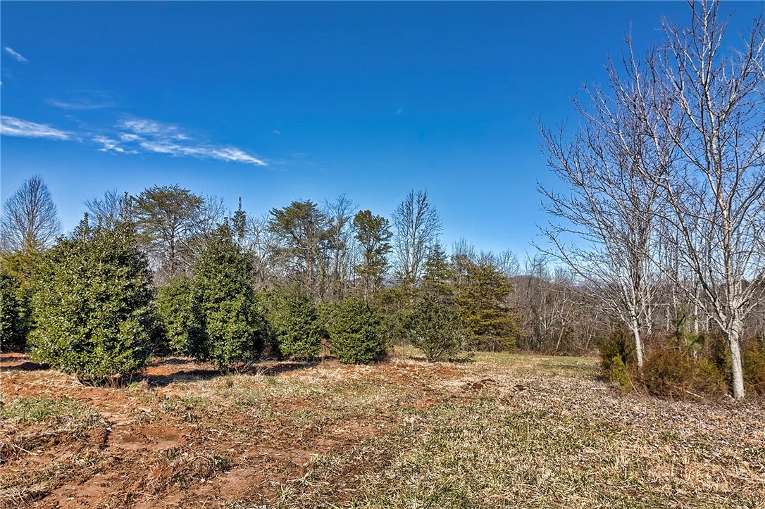 413 Hood Road Easley, SC 29640 - Photo 9 of 26 Gallery Image 9