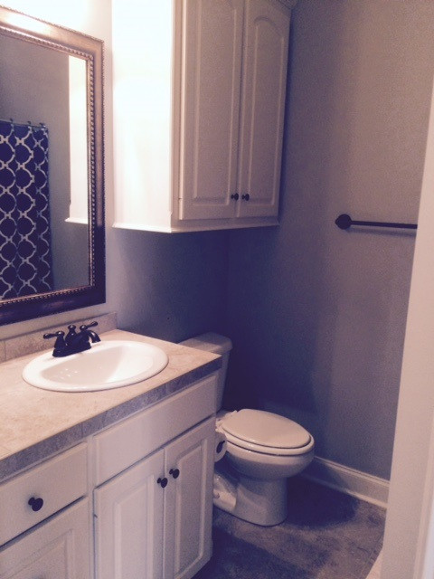 413 Cumberland Ridge Madison, MS 39110 - Photo 21 of 23 GUEST BATH