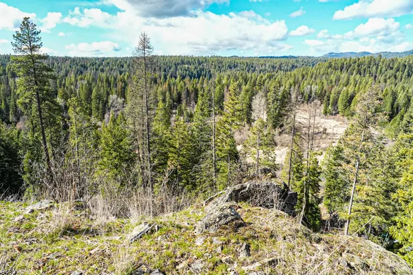 $350,000 | Xx Suther Lane, Elk, WA 99009