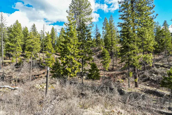 $350,000 | Xx Suther Lane, Elk, WA 99009