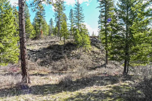 $350,000 | Xx Suther Lane, Elk, WA 99009