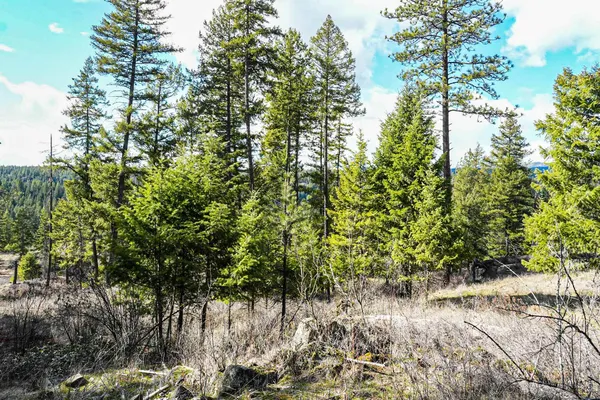 $350,000 | Xx Suther Lane, Elk, WA 99009