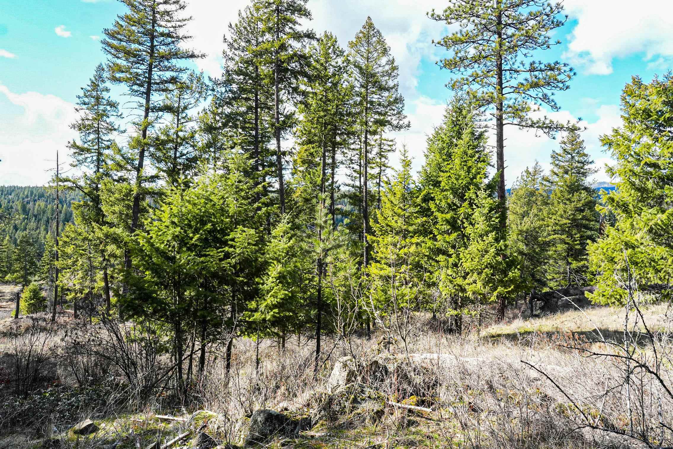 Xx Suther Lane Elk, WA 99009 - Photo 15 of 24