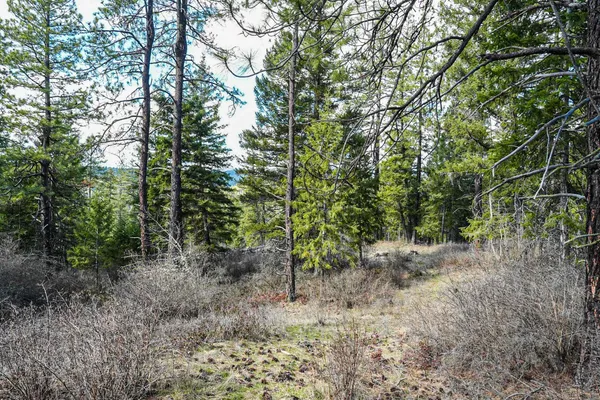 $350,000 | Xx Suther Lane, Elk, WA 99009