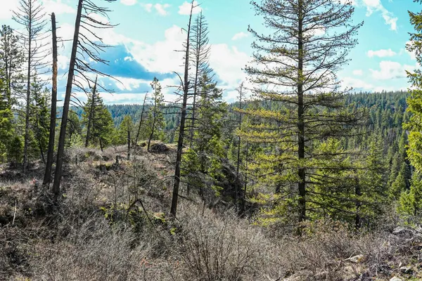 $350,000 | Xx Suther Lane, Elk, WA 99009