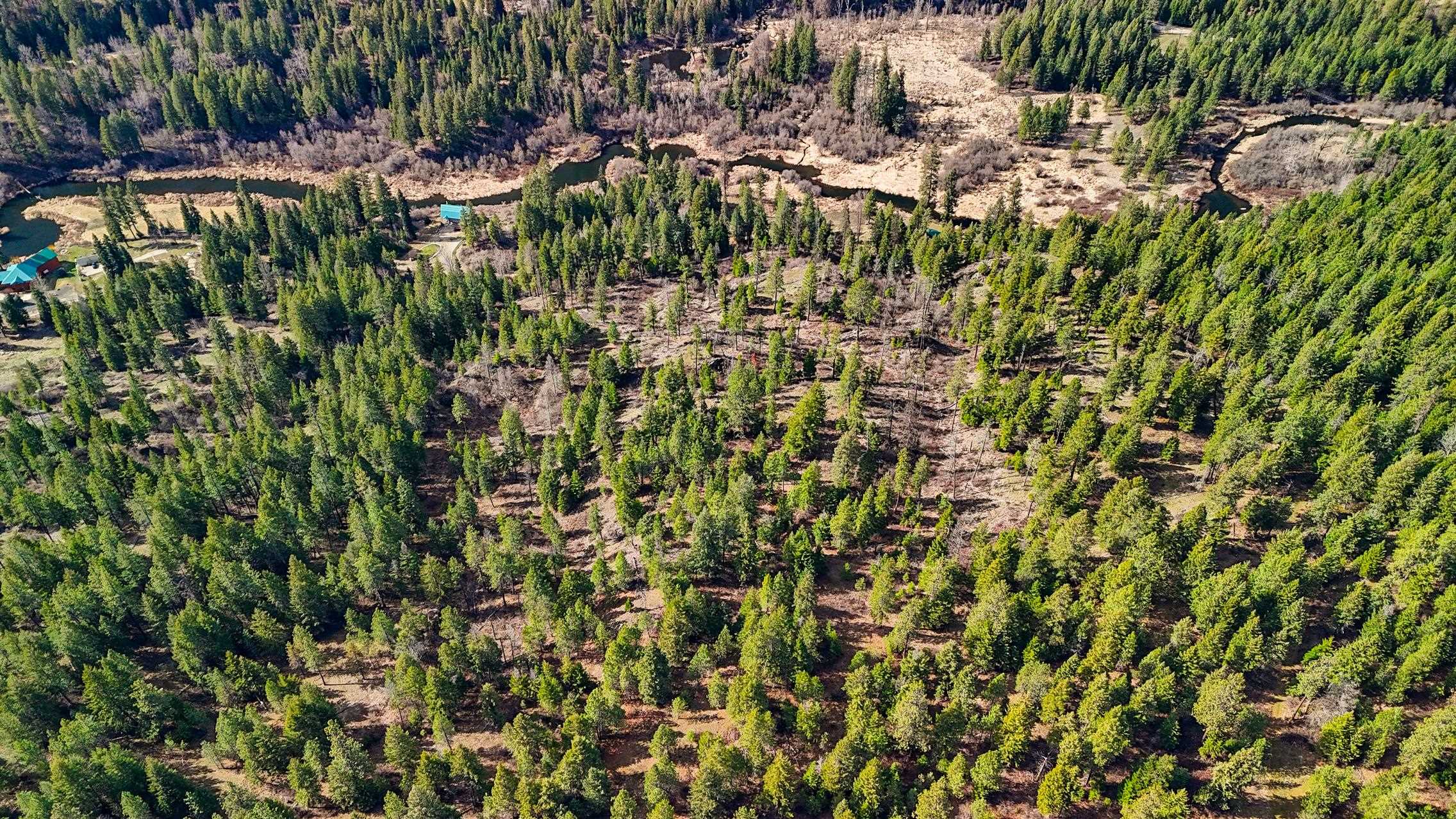 Xx Suther Lane Elk, WA 99009 - Photo 22 of 24