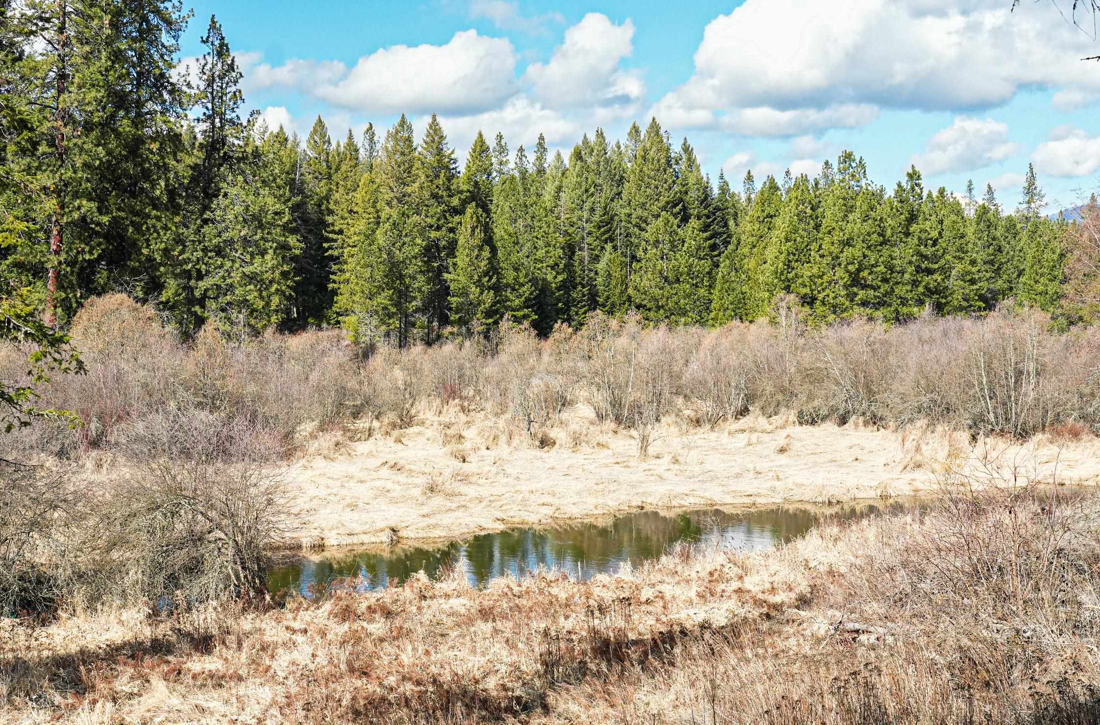 Xx Suther Lane Elk, WA 99009 - Photo 23 of 24