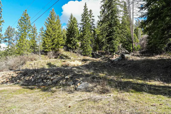 $350,000 | Xx Suther Lane, Elk, WA 99009