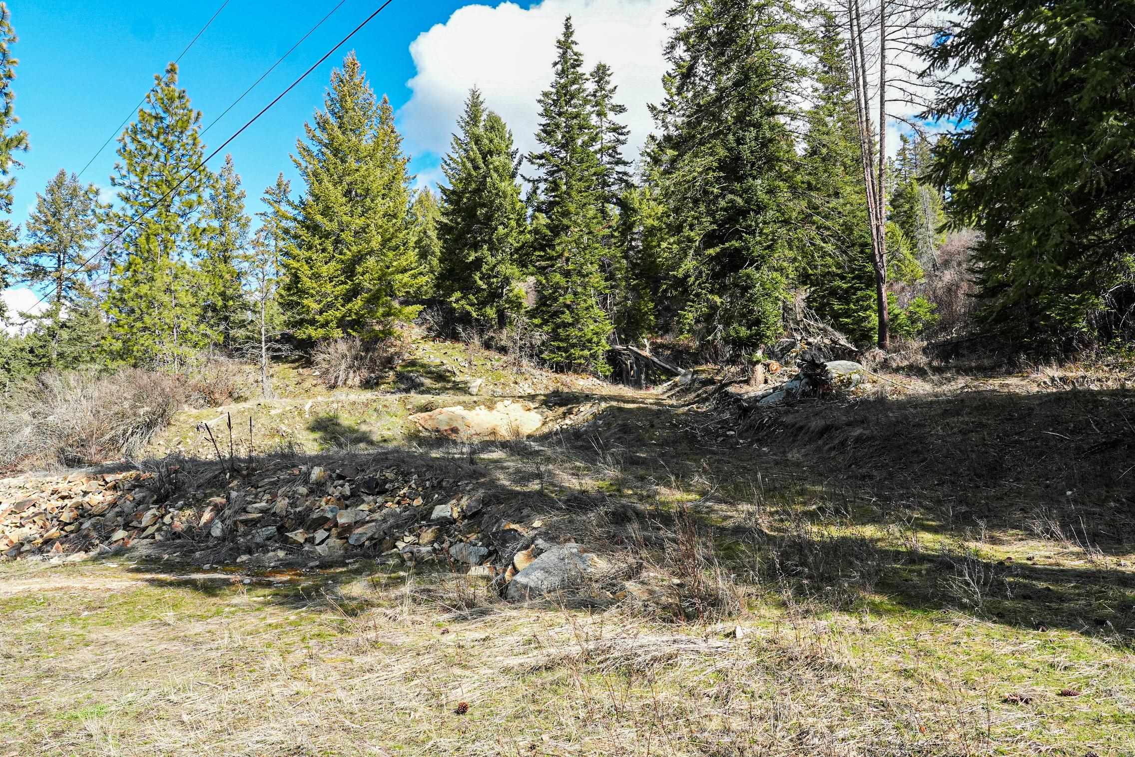 Xx Suther Lane Elk, WA 99009 - Photo 24 of 24