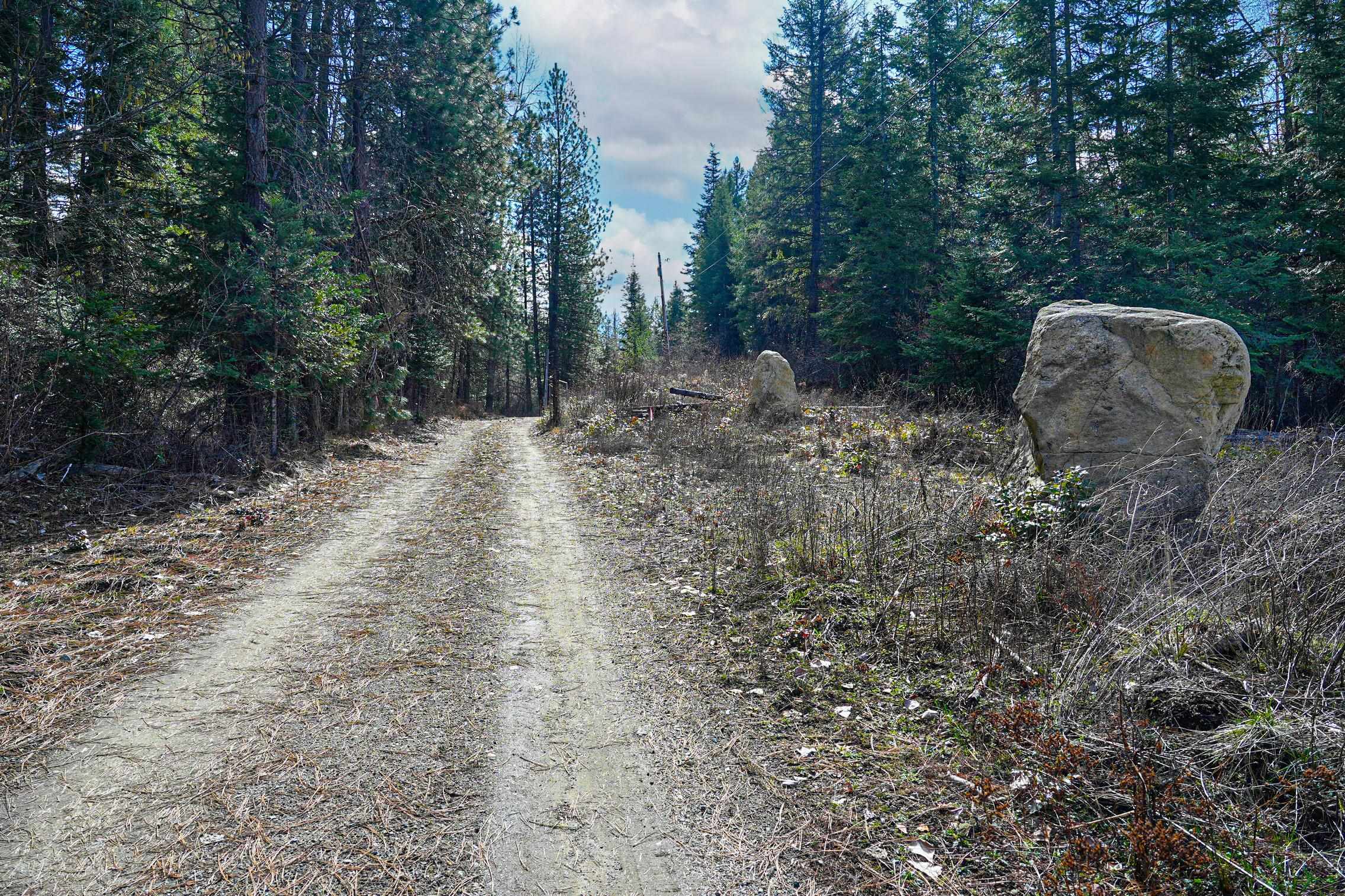 Xx Suther Lane Elk, WA 99009 - Photo 4 of 24