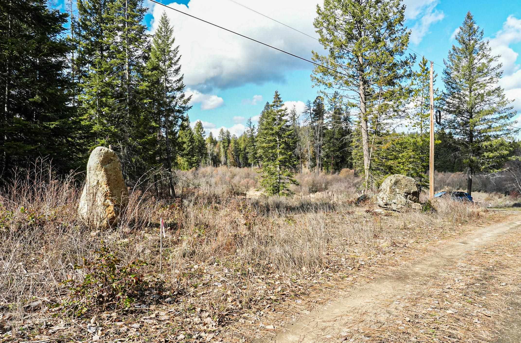 Xx Suther Lane Elk, WA 99009 - Photo 5 of 24