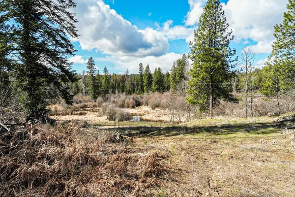 $350,000 | Xx Suther Lane, Elk, WA 99009
