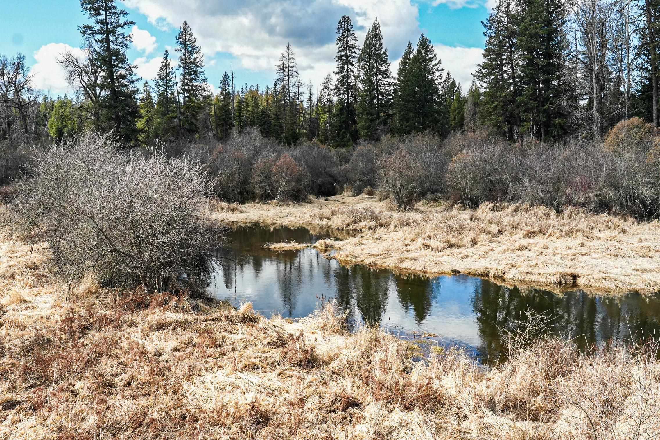 Xx Suther Lane Elk, WA 99009 - Photo 8 of 24