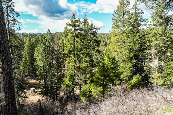 $350,000 | Xx Suther Lane, Elk, WA 99009