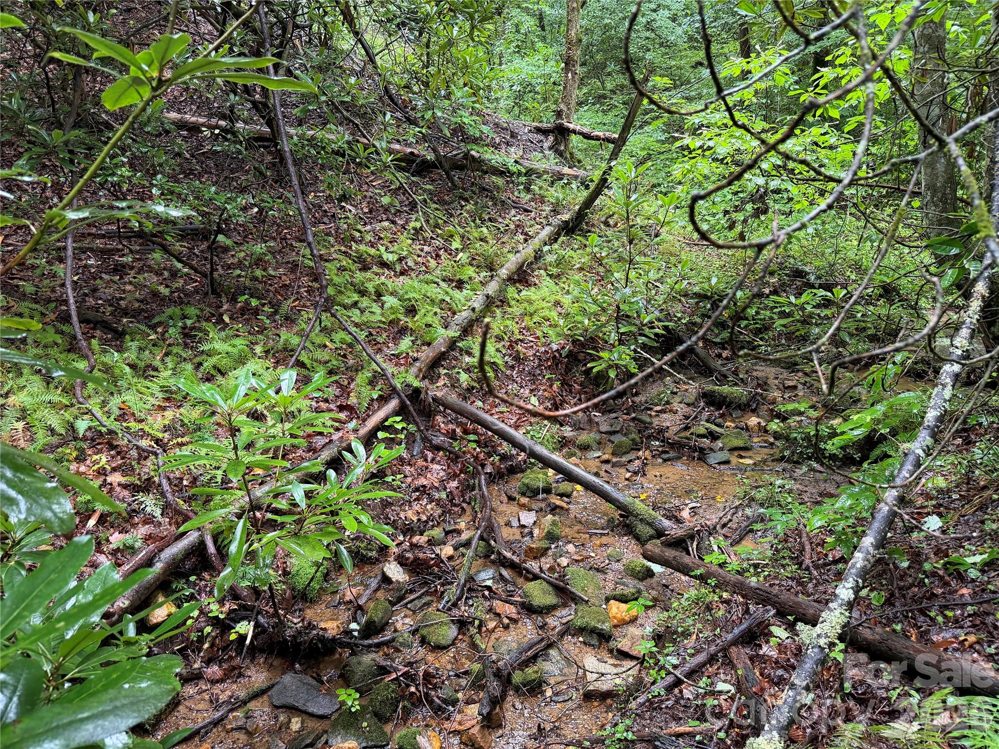 Off Donald McCall Road Balsam Grove, NC 28708 - Photo 38 of 47 Gallery Image 38