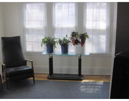 67 Webber Street Springfield, MA 01108 - Photo 3 of 10 a view of a potted plant sitting in front of a window