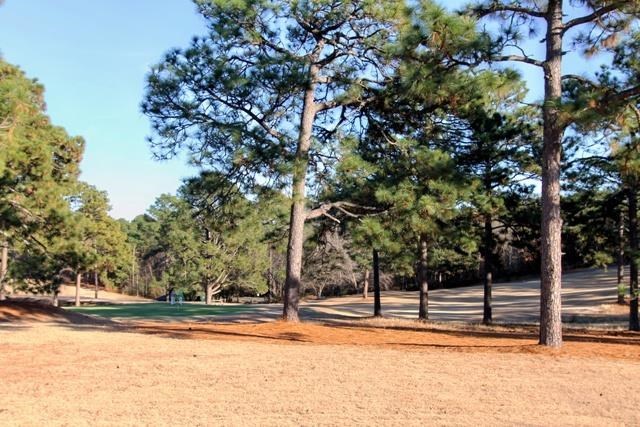 203 Knoll Road Southern Pines, NC 28387 - Photo 16 of 17 Additional Photo