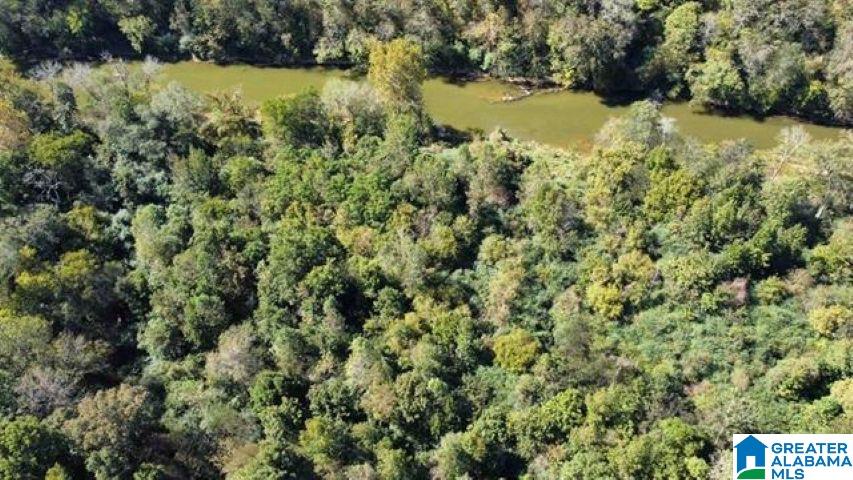 1825 Gurley Road, Unit 1 Trafford, AL 35172 - Photo 2 of 5