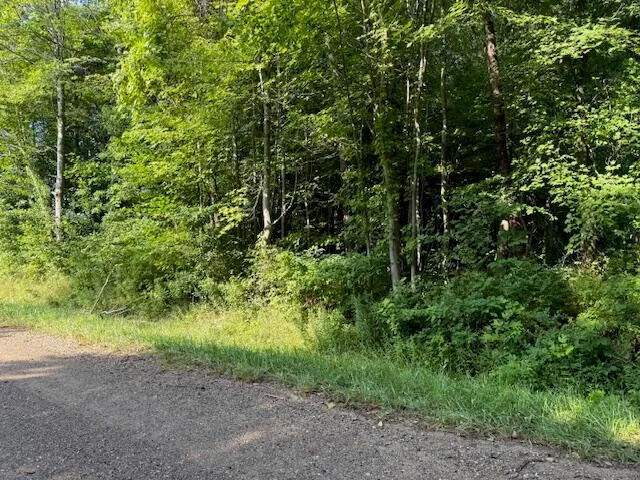 $25,000 | 5815 Jefferson Street, Coloma, MI 49038