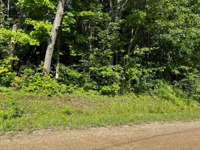 $25,000 | 5815 Jefferson Street, Coloma, MI 49038